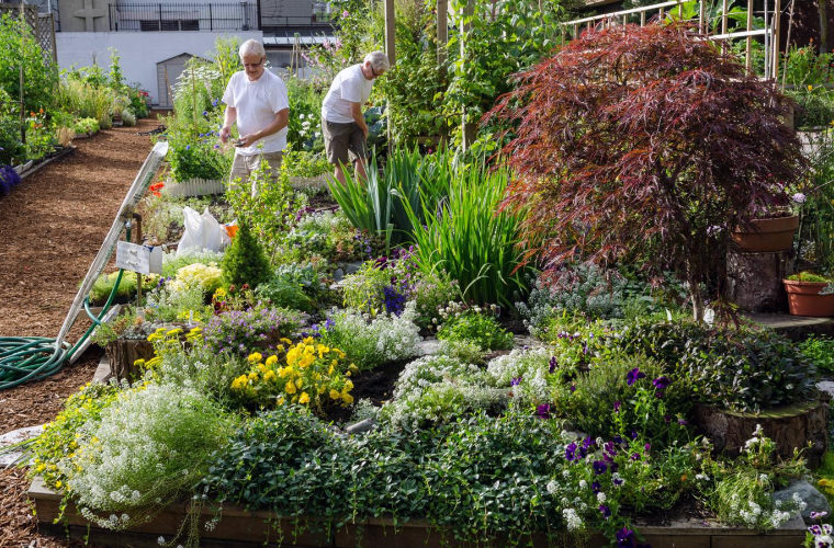 Gardening Could Be The Hobby That Helps You Live to 100