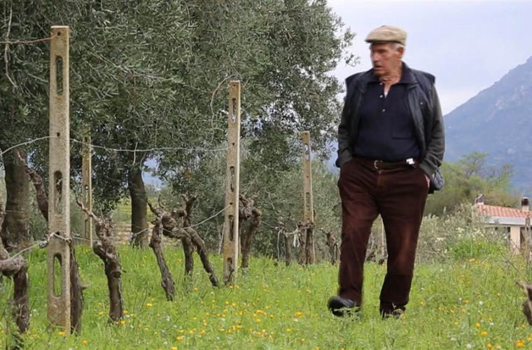 Wine, beans and family: Sardinia’s secrets to living to 100